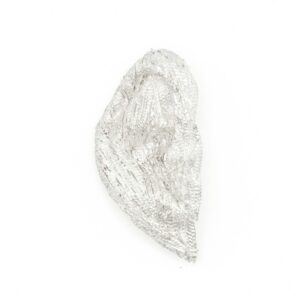 Handmadeˇanatomical filigree ear piece in 999 silver from above